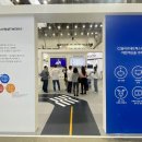 올리브 안전 이미지