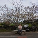 상한동 복지회관 이미지