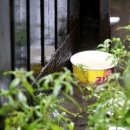 광주콩나물국밥 이미지