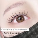 압량-2(압독체육공원 입구) | [ 영대속눈썹 경산속눈썹 ] 잘하는곳 바로 여기 ! 타로네일
