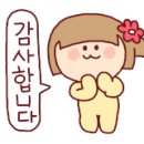 용인대 정의태권도 이미지