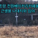 옹진군 영흥도 2차로 코너 쎄시오리조트 초입 전원카페, 생활숙박 등 건축용 나대지와 근생건축허가 득한 임야 이미지