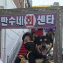 수협횟집식당회센타 이미지