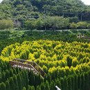 지포공원 옆 이미지