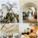 궁전 | 고양 카페 나들이, 배다골베이커리하우스에서 봄비 감성 충전