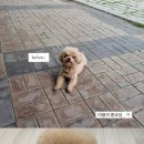 해피오브트리밍 이미지