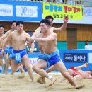 경남인삼 이미지