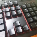 수원-0036 이미지