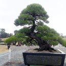 제주아트랜드 이미지