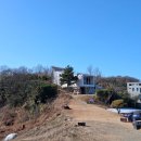 소이작치안센터 Daum카페