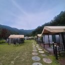글로우캠핑 | 공주 <글로우 글램핑> 후기 : 비오는 날 1박2일 글램핑🐸