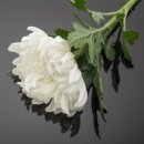 제원로 | 원로 배우 이순재 별세, 한국 연기계의 큰 별이 지다