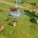 주식회사 펫프로젝트 이미지