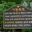 모란홍천