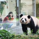 판다(PANDA)통신 이미지