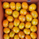 ❤ 달인반찬입고&amp;초특가상품들입고!! 당도좋은과일 한가득~ ❤ 이미지