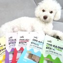 덴탈포스 이미지