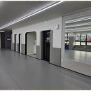 행복한 체육관 이미지