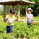 친환경농장 이미지