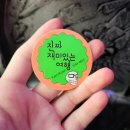 양림동둘레길 | 대구출발 당일치기 여행 :: 신안 보라섬 솔직후기(feat.진짜재미있는여행)