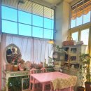 라임로 | 미모사가 만개한 서울근교 봄꽃구경하기 좋은 인천브런치맛집 소풍을 파는 가게 내돈내산 후기!