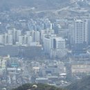 과천타워~새서울쇼핑 이미지