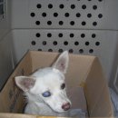 경동 모텔 이미지