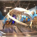 땅끝해양 자연사박물관 이미지