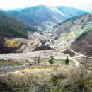 벚꽃마을경로당 이미지