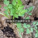 이슬로건강원 이미지