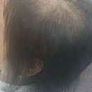 강남 청담 혼주메이크업전문 비바이준이