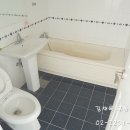 현대5호 이미지