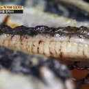 서민장어 이미지