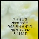 말씀나무 연구소 네이버블로그