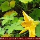 바라산 백운산 등산코스 (인덕원역-바라산-백운산-사당역) 20220807 이미지