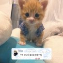 405달글 이벤트 준비달글 이미지
