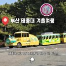 GS25 영도태종대 | [부산 겨울 여행] 태종대 다누비열차 임산부 탑승후기(예약, 타는 곳, 운행시간, 코스)