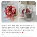 강진-29 | [공지] 강진 케이크 주문 제작 강진 레터링케이크 강진군 케이크 맛집 추천