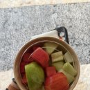 스칼렛닷 | 칸쿤 스칼렛아르떼 액티비티 추천 (셀하 Xel-ha , 세노떼 Xenote)