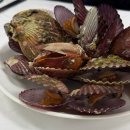 강구수산회대게센타 | 영덕 동광어시장 대게 후기｜대게철에 강구항에서 먹은 영덕대게 내돈내산 솔직후기