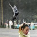 발토샵 이미지
