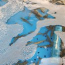 광어9900포장전문 이미지