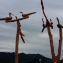 쪽빛나라 이미지