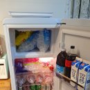 슬로우버드 이미지