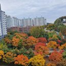 황골공원 이미지