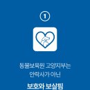 동물보육원 고양지부 이미지