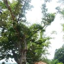 무수천하마을 이미지