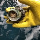 바다그리다 이미지