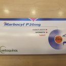 대현약국 이미지