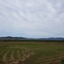 도리포민박 이미지